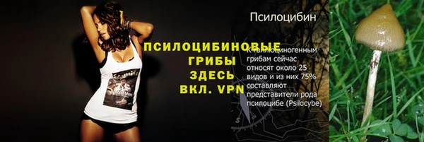 каннабис Новодвинск