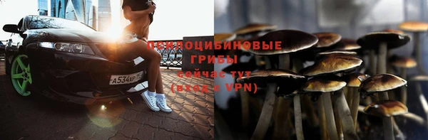 твердый Новокубанск