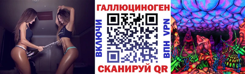 Купить закладки  Курган  Псилоцибиновые грибы Psilocybine cubensis 